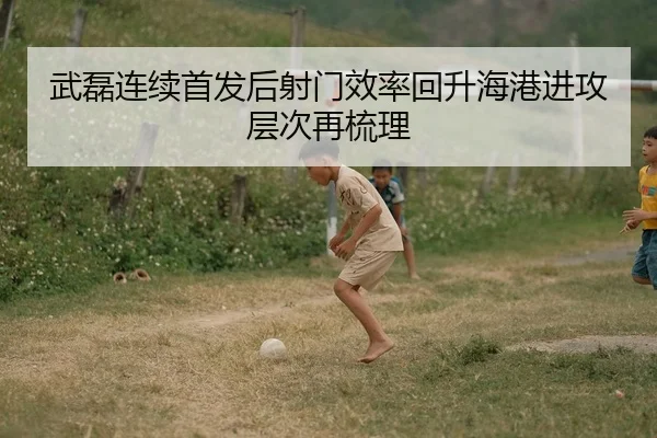 武磊连续首发后射门效率回升海港进攻层次再梳理