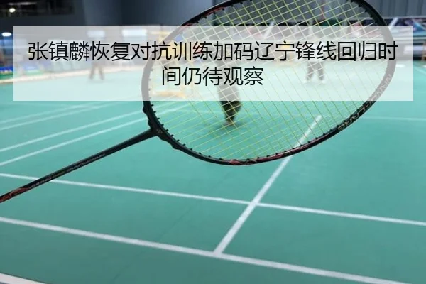 张镇麟恢复对抗训练加码辽宁锋线回归时间仍待观察